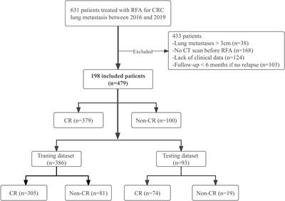 A CT-based radiomics approach to predict immediate response of radiofrequency ablation in colorectal cancer lung metastases